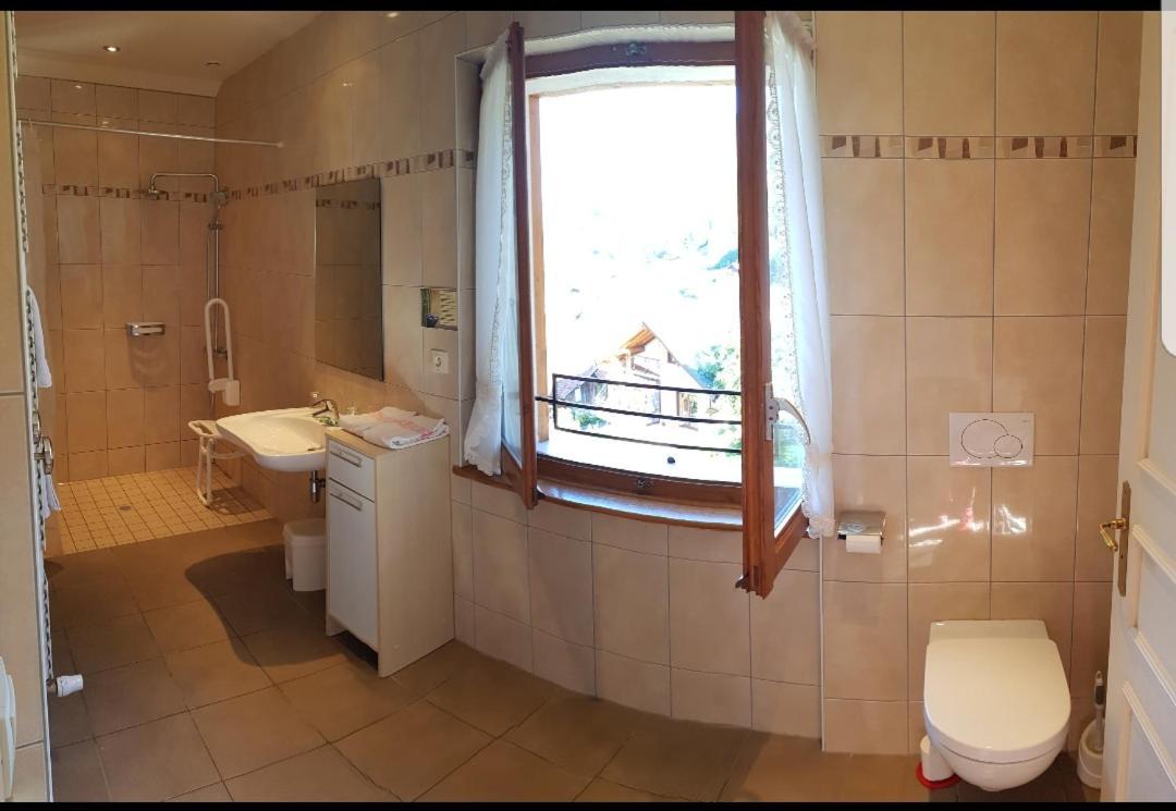 Hotel Plein Soleil Vacheresse Екстериор снимка